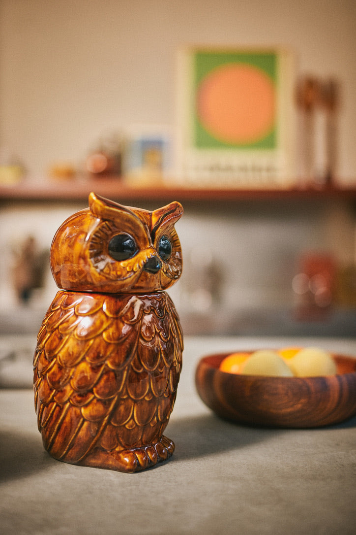 Ceramic Owl Jar Rosted