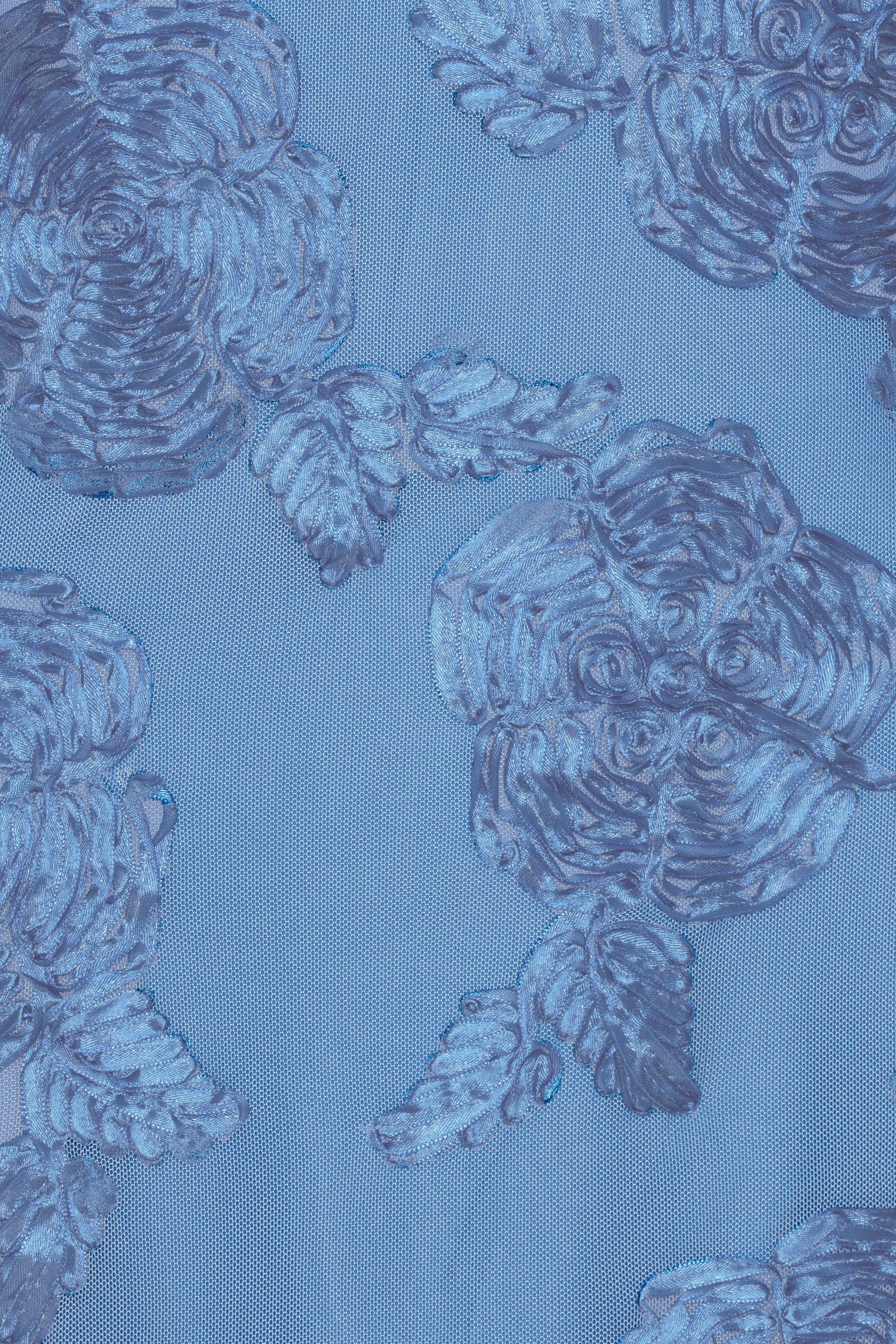 Mesh Capsleeve Maxi Dress