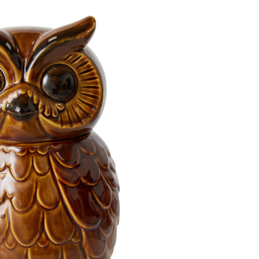 Ceramic Owl Jar Rosted