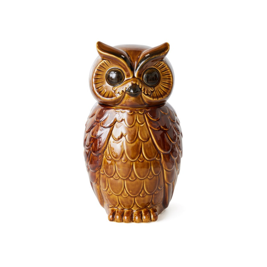 Ceramic Owl Jar Rosted