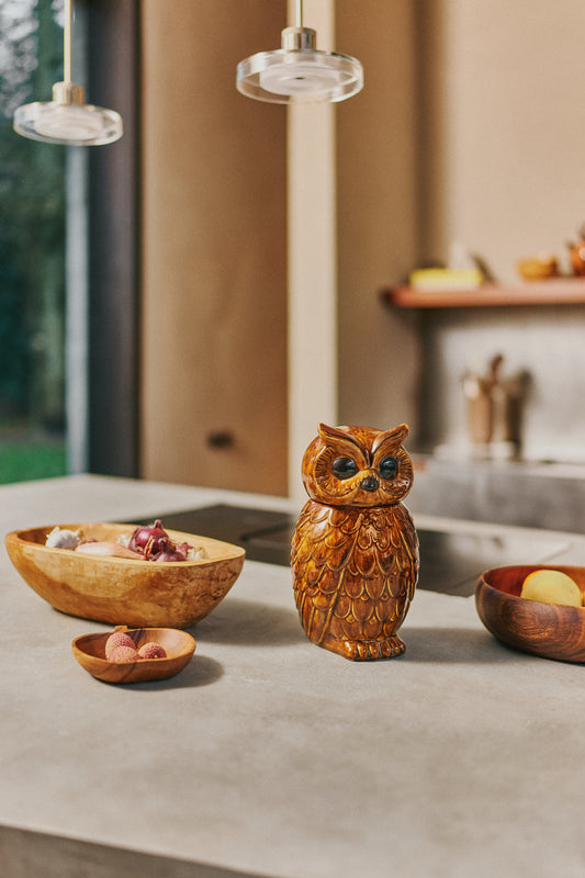 Ceramic Owl Jar Rosted